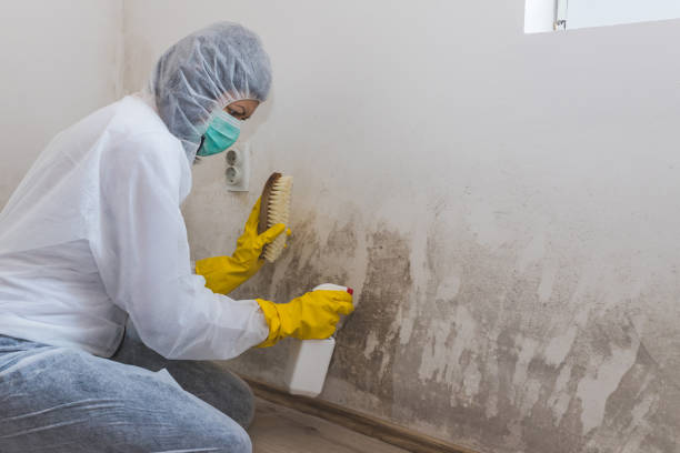 Best Residential Mold Removal  in Fort Benton, MT