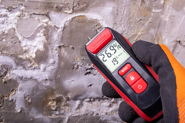 Best Mold Testing and Removal  in Fort Benton, MT