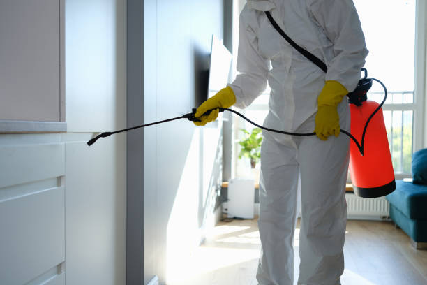 Best Commercial Mold Removal  in Fort Benton, MT