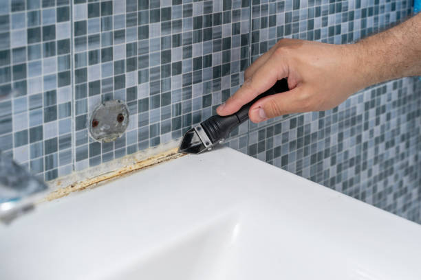 Mold Testing and Removal in Fort Benton, MT