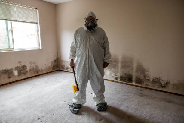 Best Toxic Mold Removal  in Fort Benton, MT